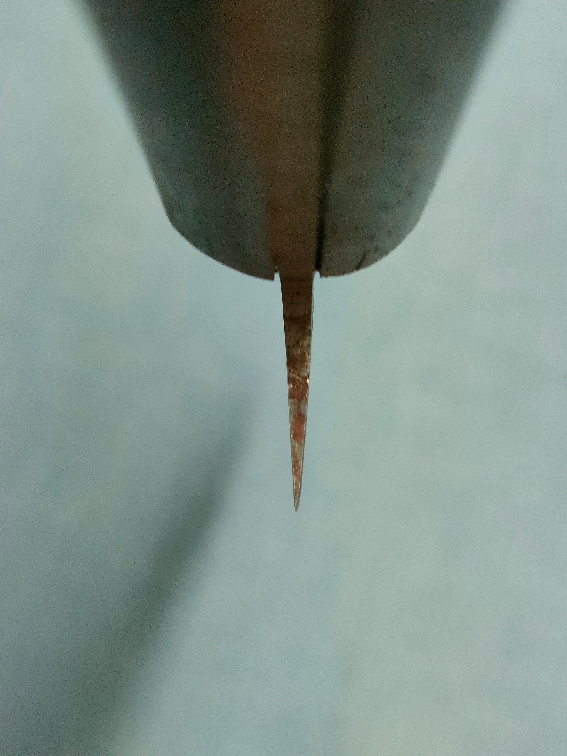 Minamoto no Sukehisa | Honesuki Kaku 135mm | SK | Rosewood