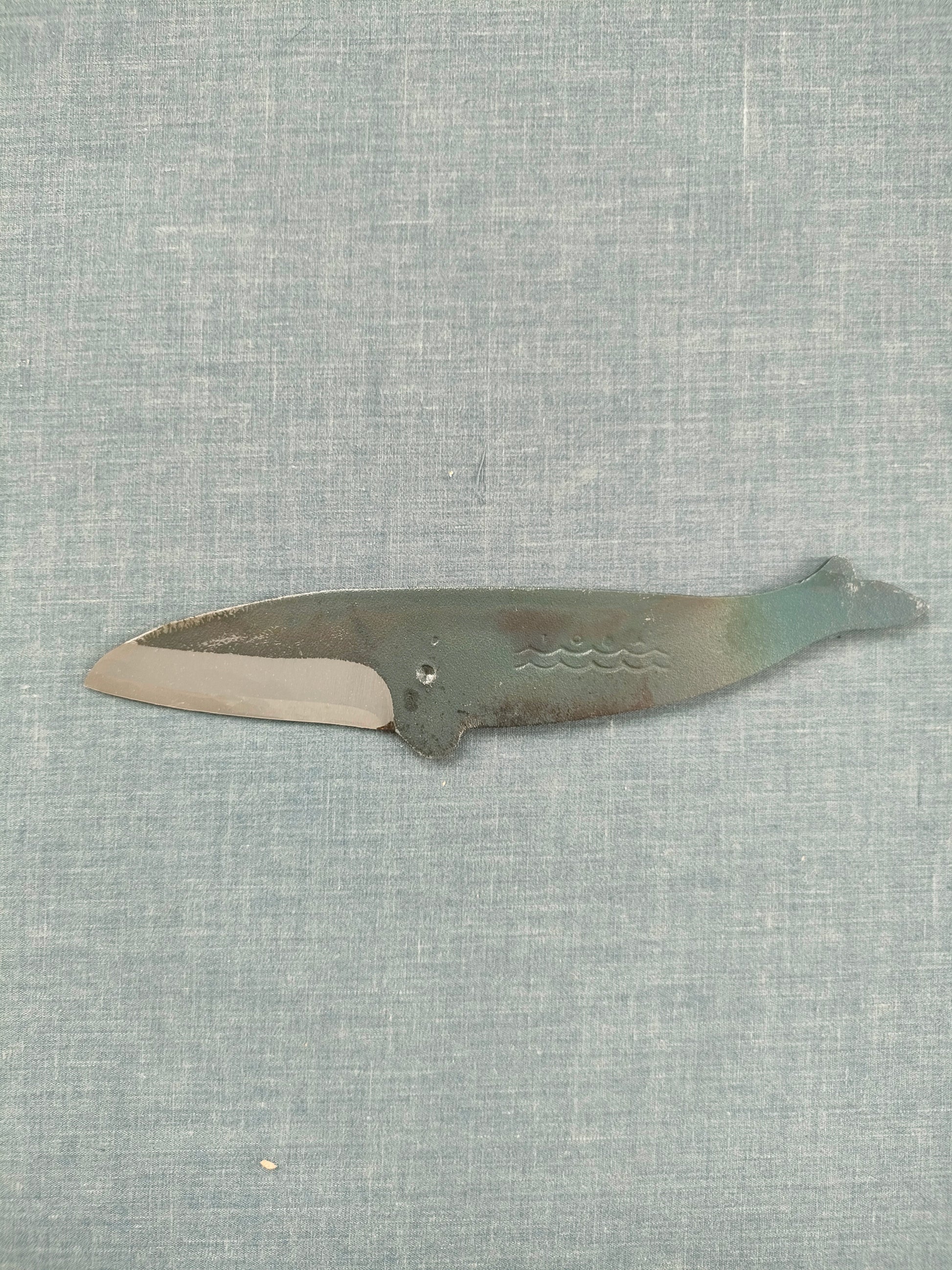 Tosa Kujira | E Bryde's Whale