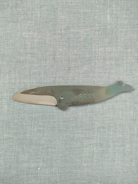 Tosa Kujira | E Bryde's Whale