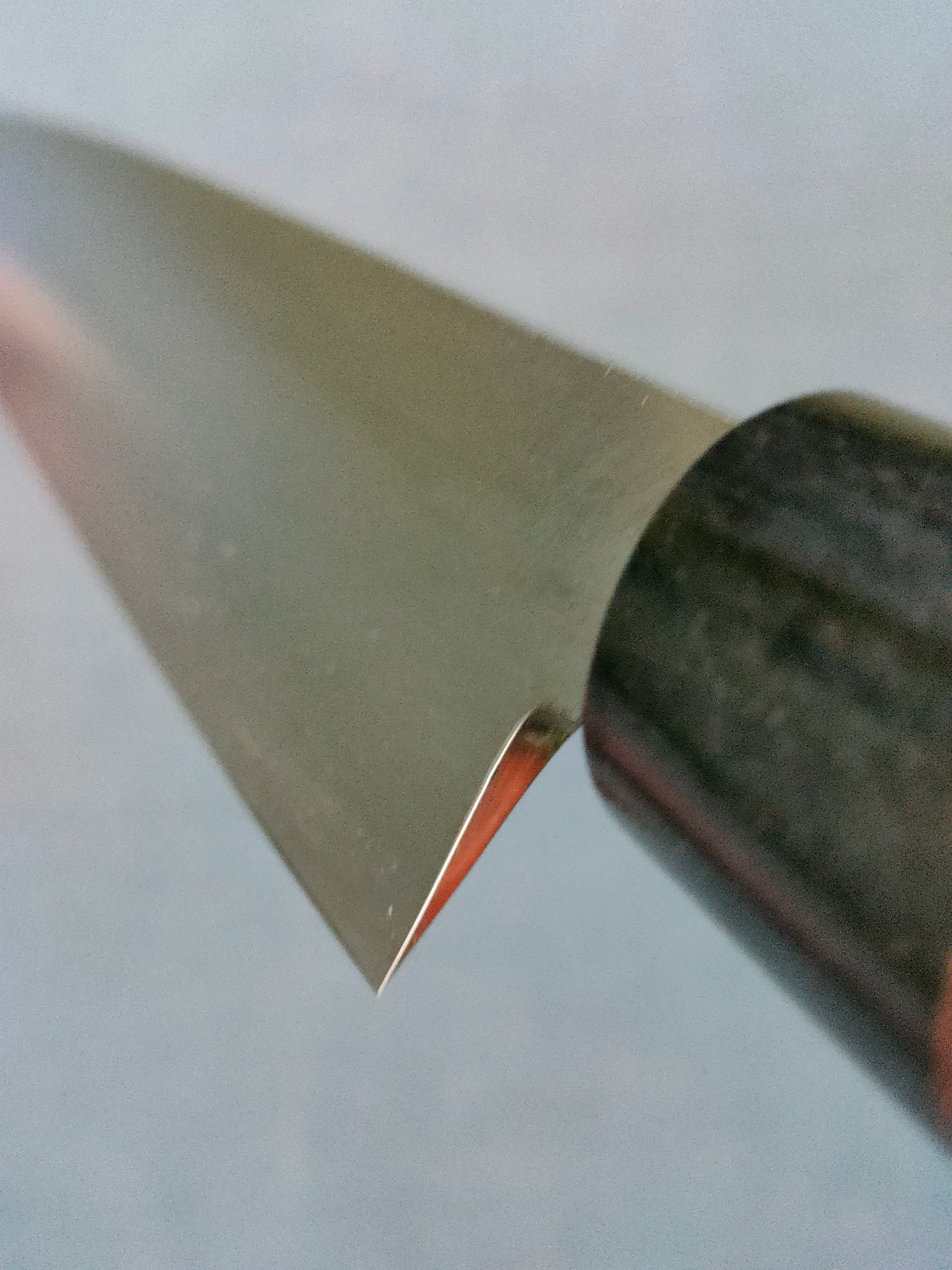 Tsunehisa | AUS8 | Yanagiba 270mm | Rosewood