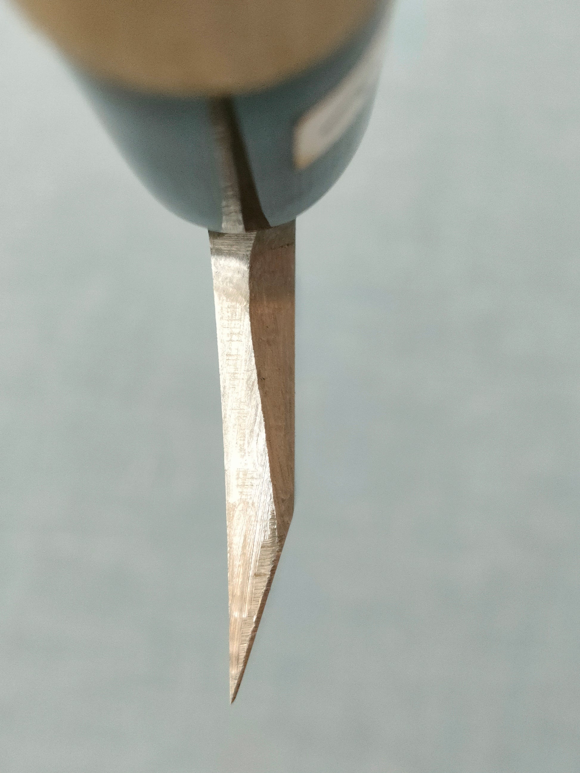 Shin-ou | VG10 | Deba 150mm | Magnolia