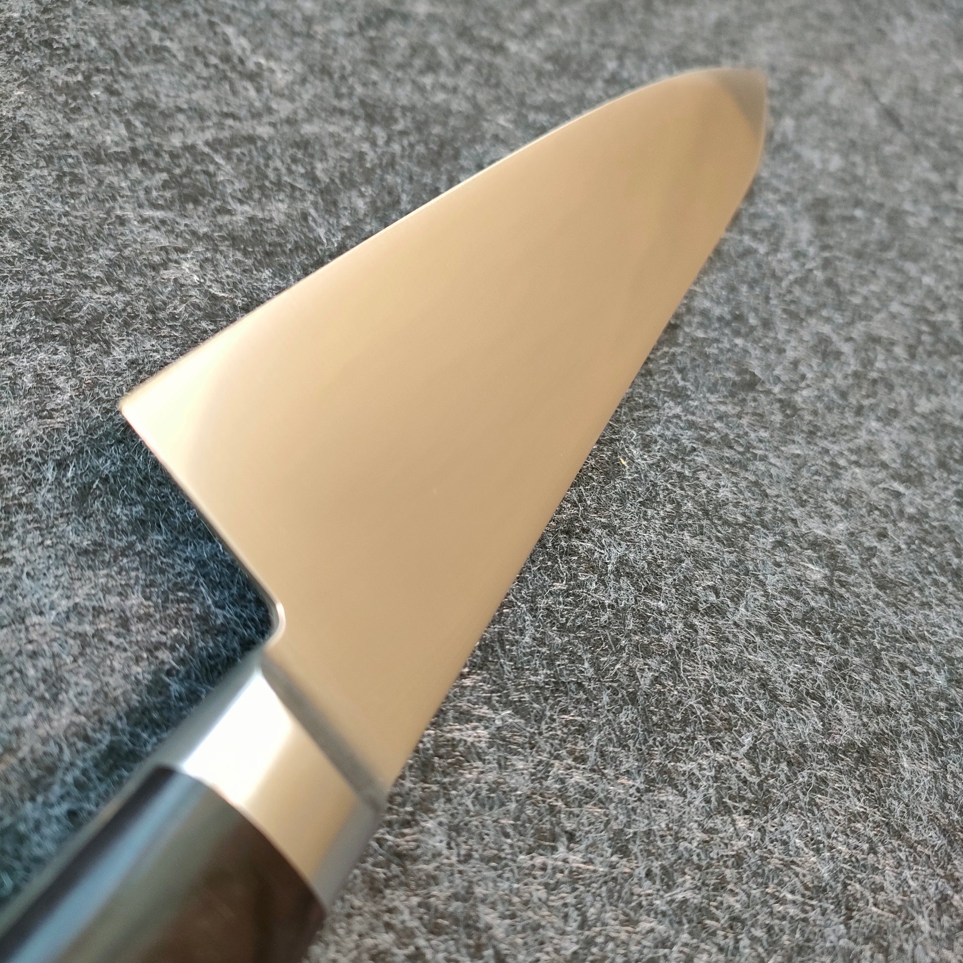 Tsunehisa | AUS8 | Gyuto 210mm