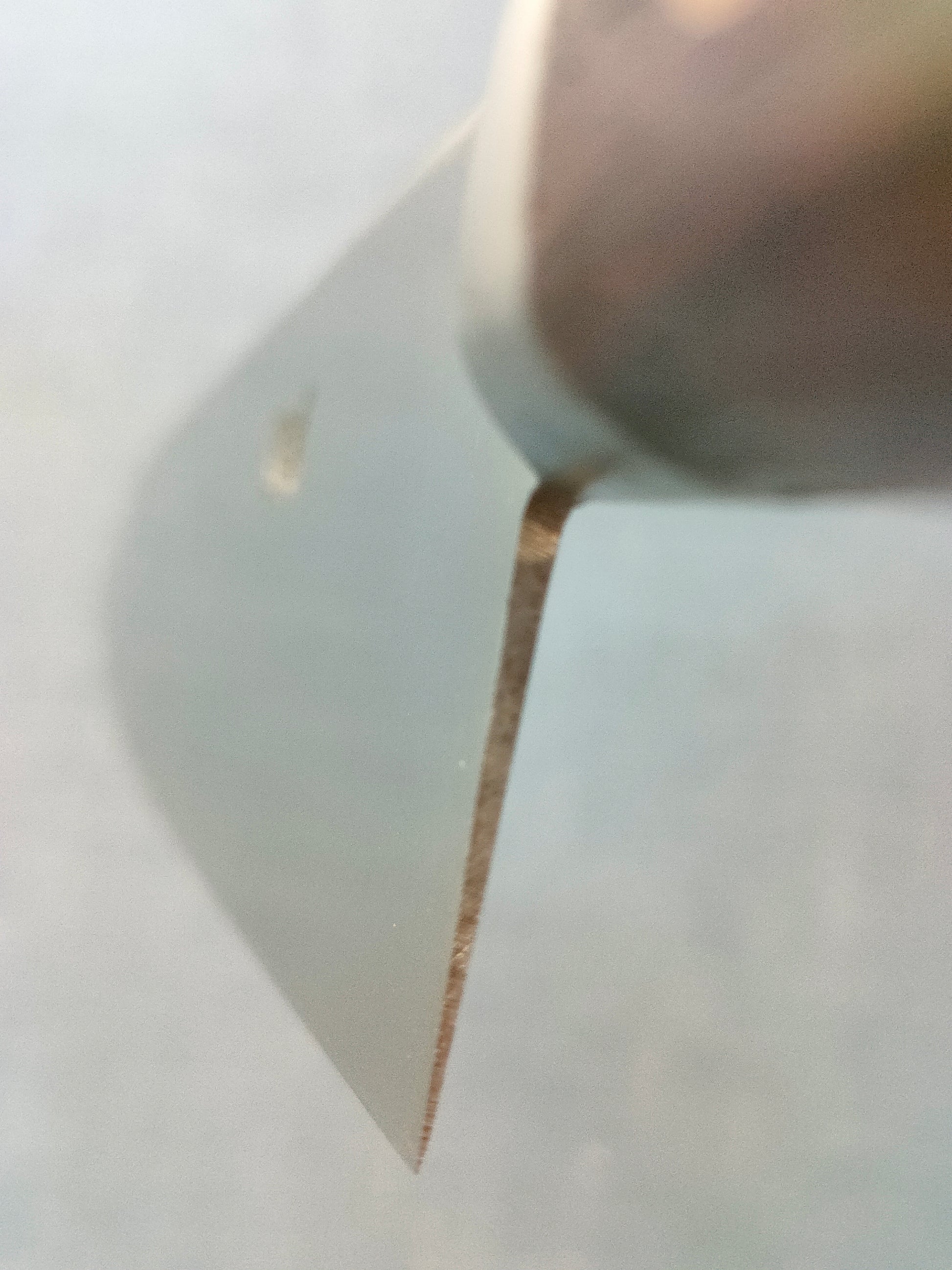 Minamoto no Keitsuki | Gyuto 240mm | SK | Bolster | Rosewood