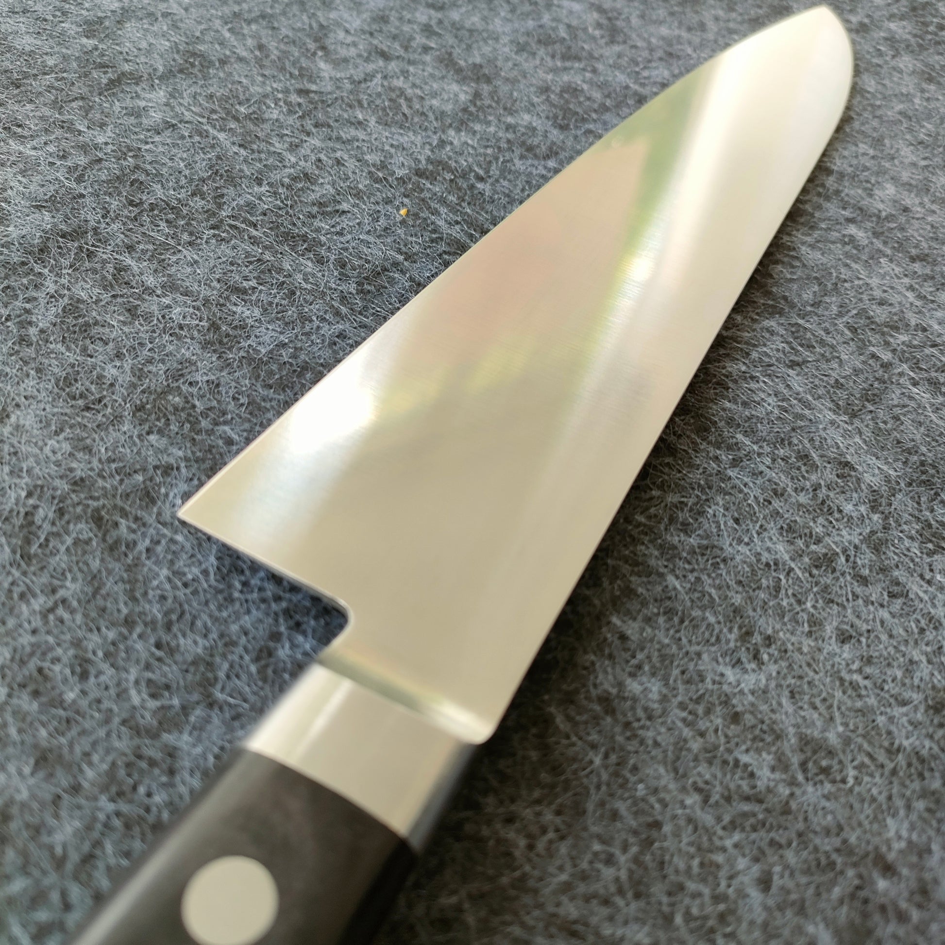 Tsunehisa | AUS8 | Gyuto 240mm